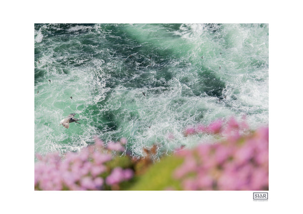 Birds Eye View | Loop Head Lighthouse | County Clare