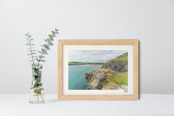 The Warren | Rosscarbery | West Cork