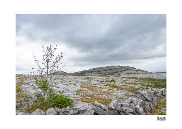 The Burren | Mullaghmore | County Clare | Ireland