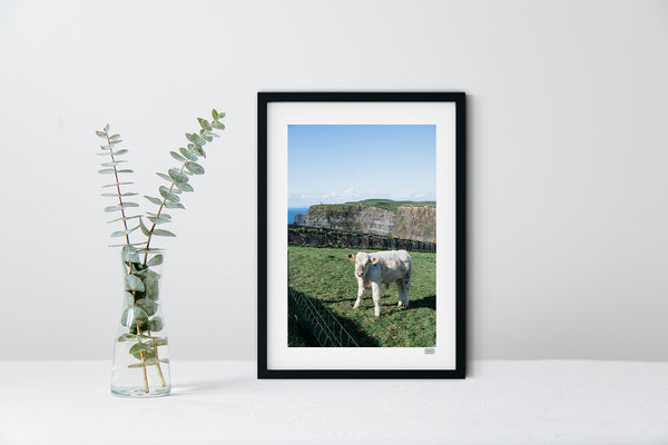 Cliffs of Moo-Her | County Clare | Ireland