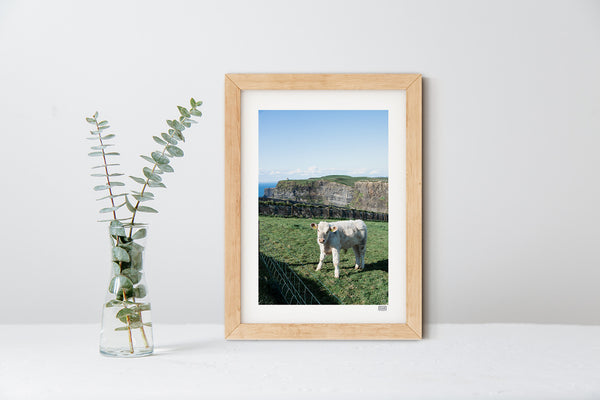 Cliffs of Moo-Her | County Clare | Ireland