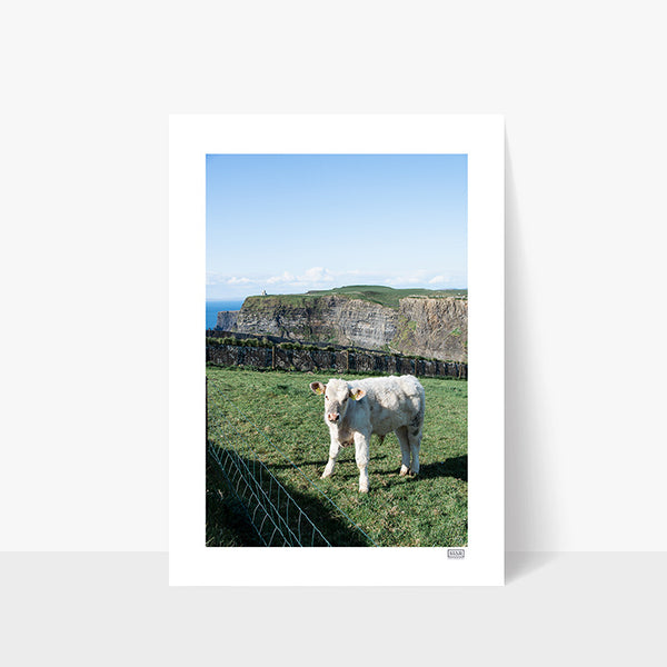 Cliffs of Moo-Her | County Clare | Ireland