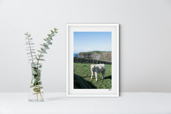 Cliffs of Moo-Her | County Clare | Ireland