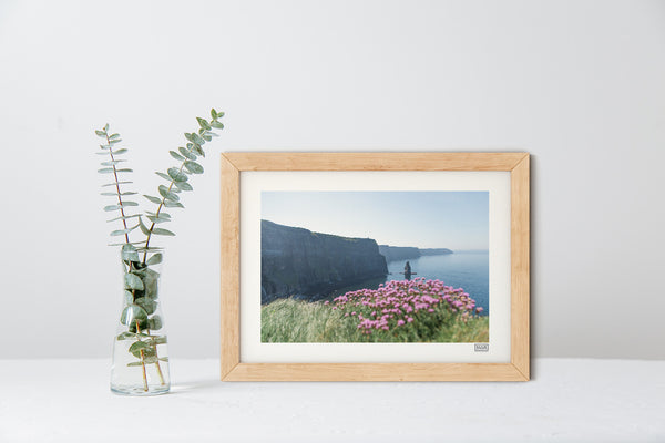 Cliffs of Moher Sea Pinks | Clare | Ireland