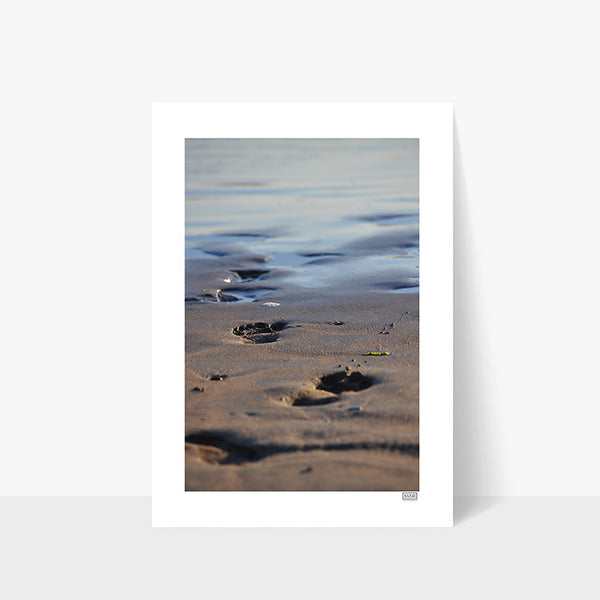 Footprints | County Clare | Ireland