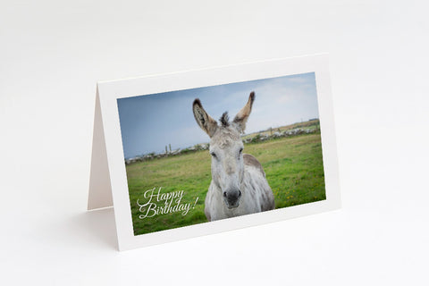 Happy Birthday | Donkey | Card
