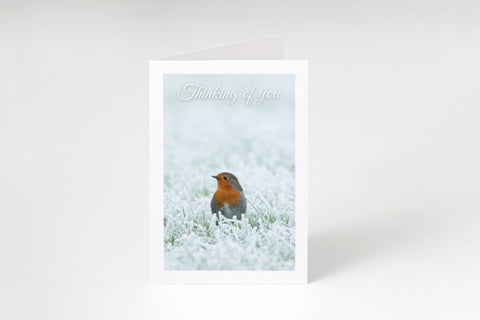 Thinking of You | Spideog | Greeting Card