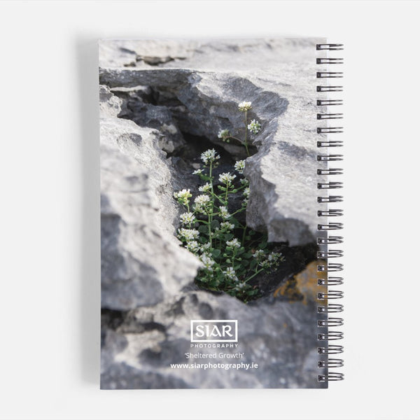 Sheltered Growth | Notebook