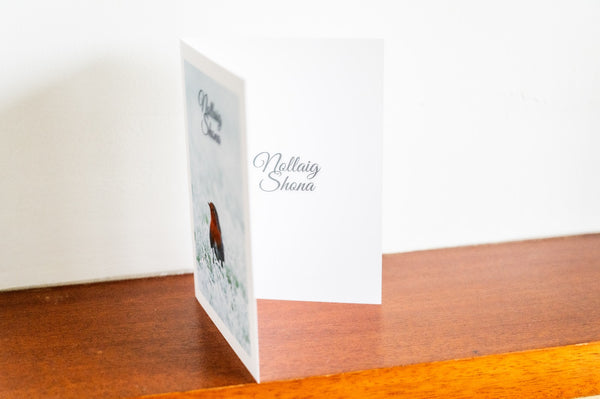 Robin | Christmas Card