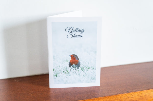 Robin Irish-made Christmas card with Nollaig Shona greeting