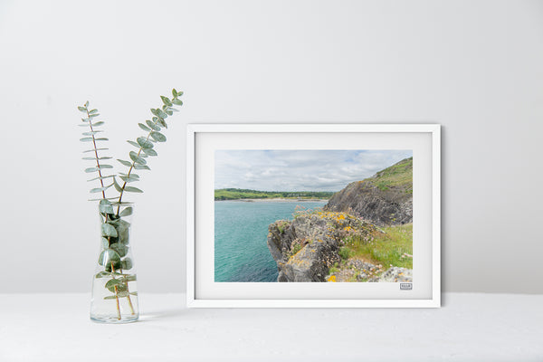 The Warren | Rosscarbery | West Cork