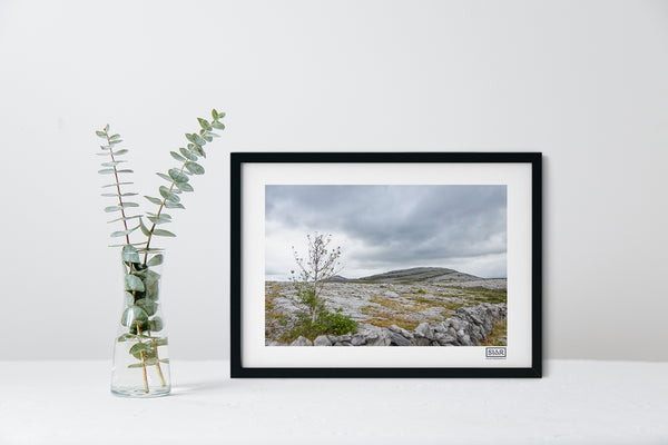 The Burren | Mullaghmore | County Clare | Ireland