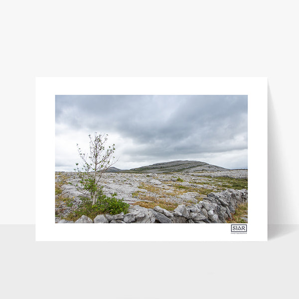 The Burren | Mullaghmore | County Clare | Ireland