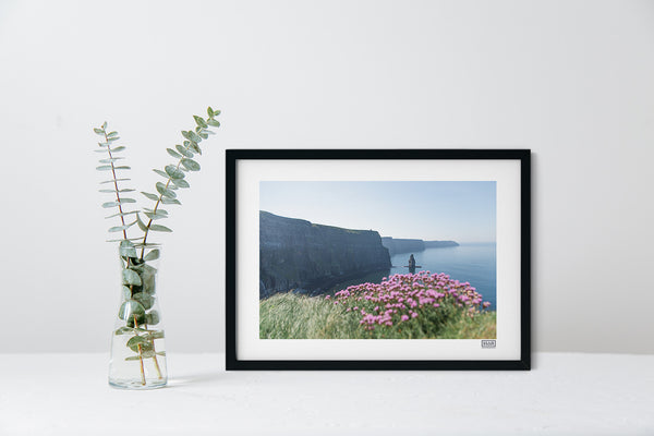 Cliffs of Moher Sea Pinks | Clare | Ireland