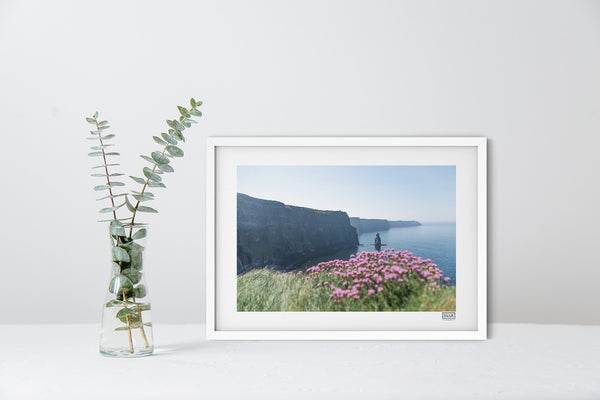 Cliffs of Moher Sea Pinks | Clare | Ireland