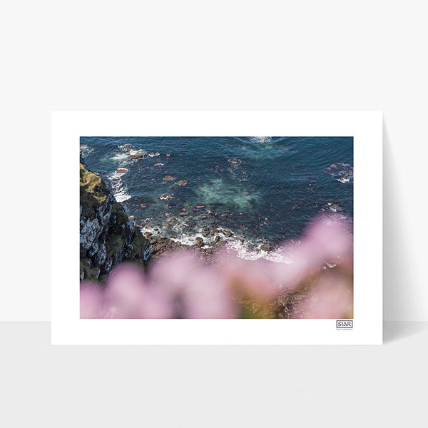 Pink Shore | County Clare | Ireland