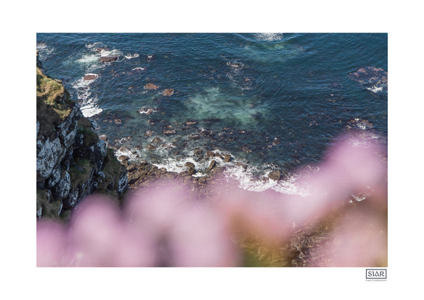 Pink Shore | County Clare | Ireland