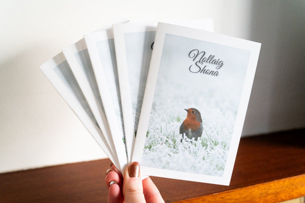 Robin | Christmas Card