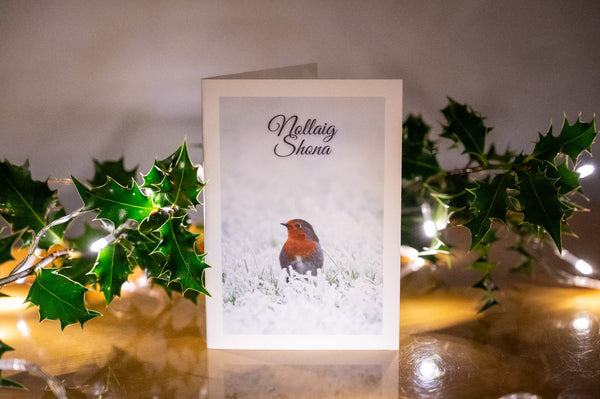 Robin | Christmas Card