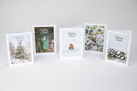 Variety pack of 5 Irish-made Christmas cards with Nollaig Shona greeting, including Snowy Burren Wall, Snowy Forest, Robin, Holly Tree, and Green Postbox photos