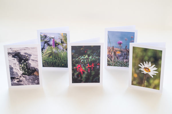 Flowers of Ireland | Card Pack