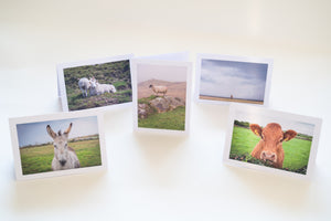 Greeting Cards Pack | Animal Collection
