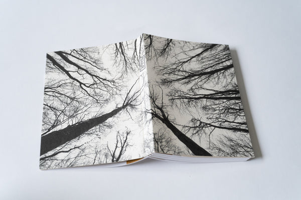 Forest | Paperback Notebook