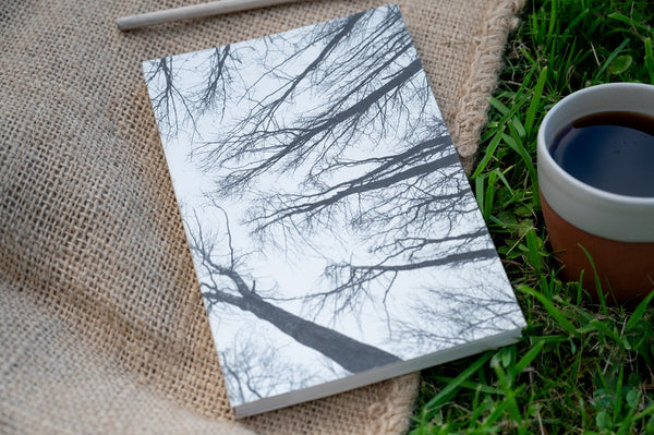 Forest | Paperback Notebook