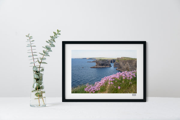 Kilkee Cliffs Sea Pinks - Clare