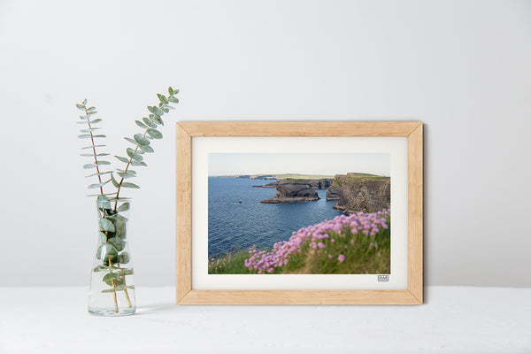 Kilkee Cliffs Sea Pinks - Clare