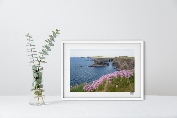 Kilkee Cliffs Sea Pinks - Clare