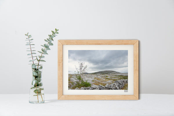 The Burren | Mullaghmore | County Clare | Ireland