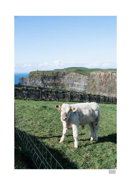 Cliffs of Moo-Her | County Clare | Ireland