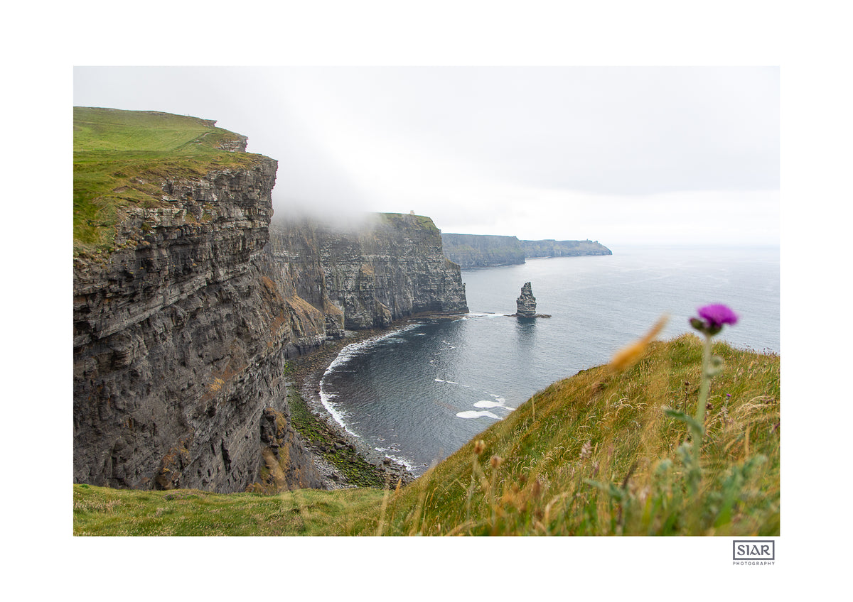 Flowery Cliffs of Moher | County Clare | Ireland | Contemporary Print ...