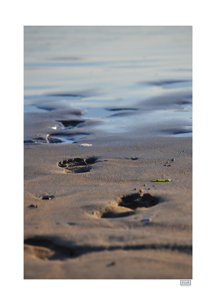 Footprints | County Clare | Ireland