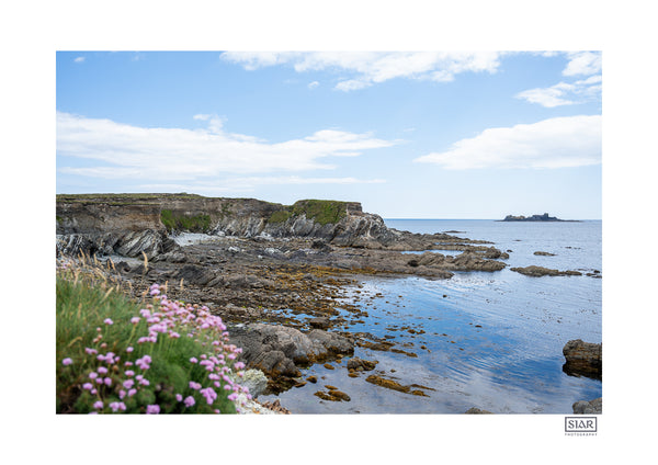 Toe Head | West Cork