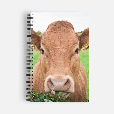 Rua the Cow | Notebook