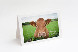 Happy Birthday | Rua The Cow | Card