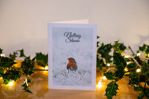 Robin | Christmas Card