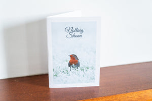 Robin | Christmas Card