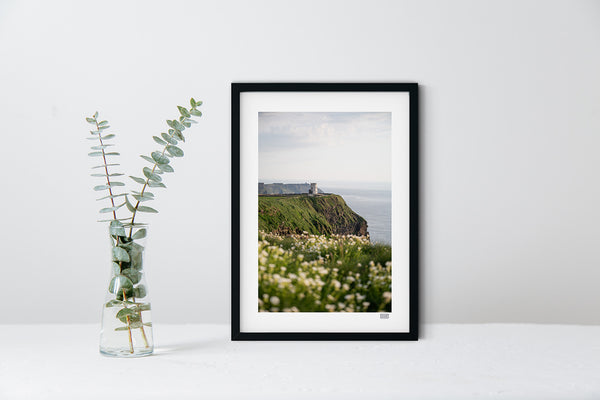 Irish landscape photography print of the Cliffs of Moher and sea campion flowers, framed in black