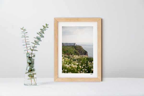 Cliffs of Moher landscape print with sea campion flowers, in natural wood frame, Irish photography wall art