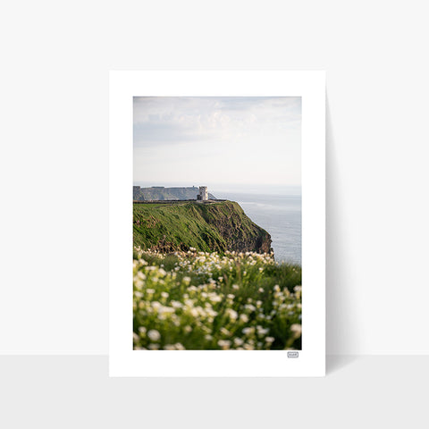 Photography print of the Cliffs of Moher in County Clare, Ireland, with sea campion wildflowers in bloom