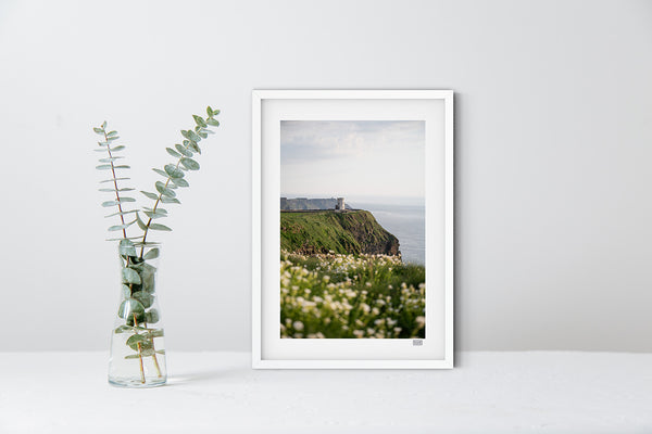 Cliffs of Moher landscape print with sea campion flowers, in natural wood frame, Irish photography wall art