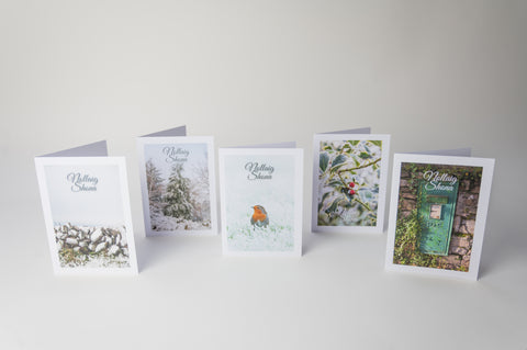 Variety pack of 5 Irish-made Christmas cards with Nollaig Shona greeting, including Snowy Burren Wall, Snowy Forest, Robin, Holly Tree, and Green Postbox photos