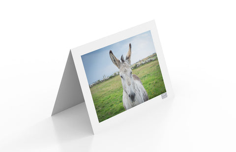Donkey | Card