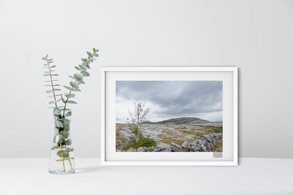 The Burren | Mullaghmore | County Clare | Ireland