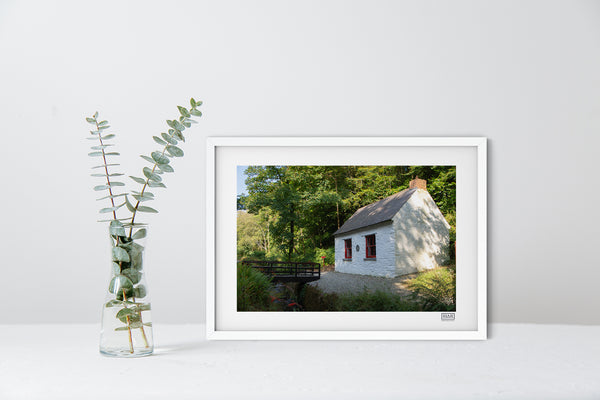 Rathbarry Sprigging School | County Cork | Ireland