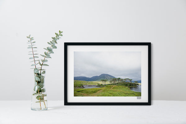 Pines Island | Connemara | County Galway | Ireland
