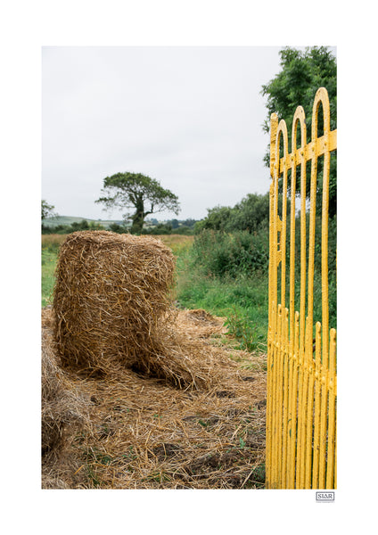 I left the bale at the gate | Clare | Ireland